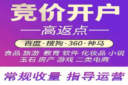 百度推广渠道拓展，成功案例分析